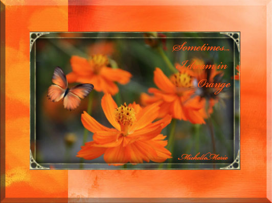 sometimesIdreaminorange