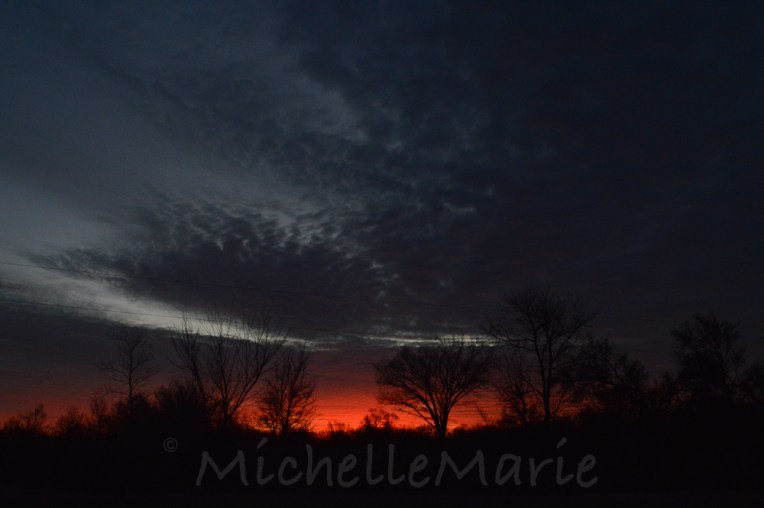 thisiswhatIsaw (1 of 1)