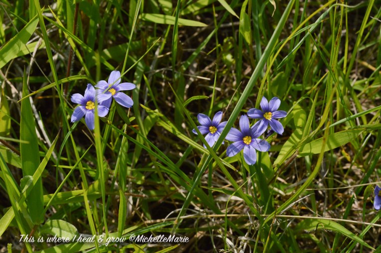 thisiswhereIhealngrow (1 of 1)