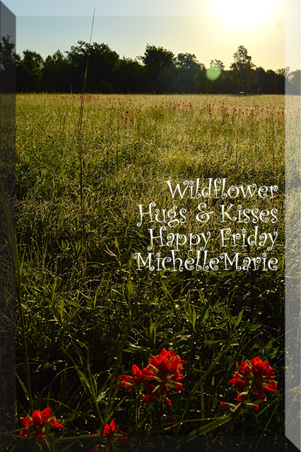 WildflowerHUGS