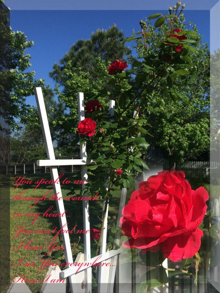 You speak to me  through the wounds in my heart