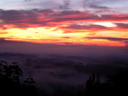 Photo from Google.com