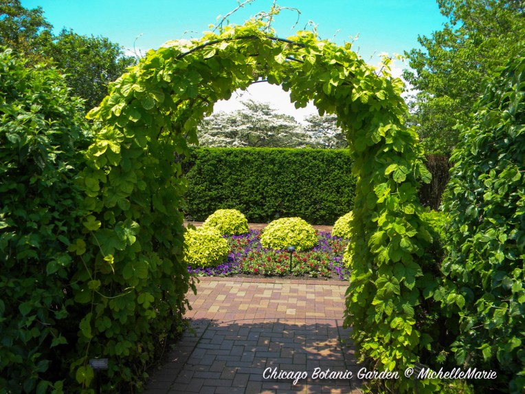 ChicagoBotanicGarden (1 of 1)-7