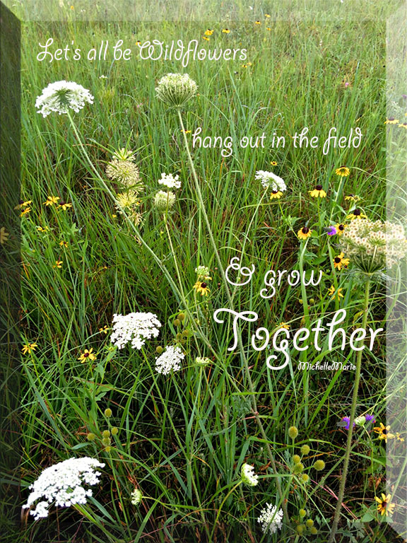 wildflowersgrowing copy