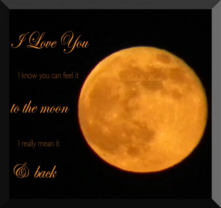 iloveyoutothemoon