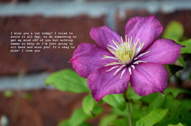 imissyoualottoday - 1