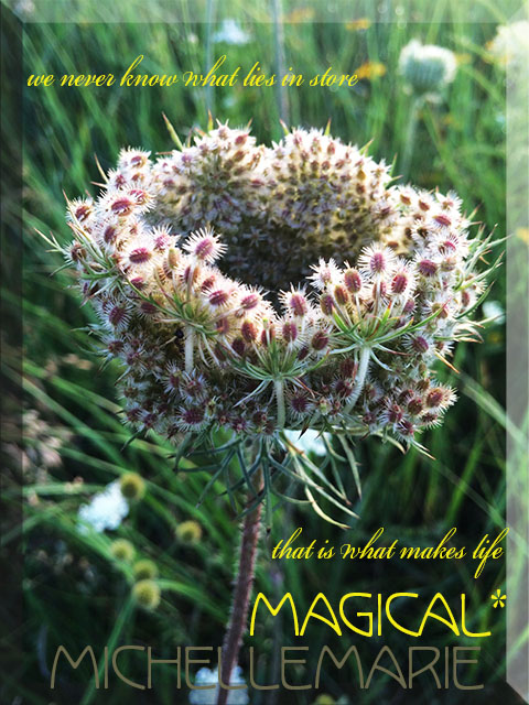 neverknowwhatliesinstore