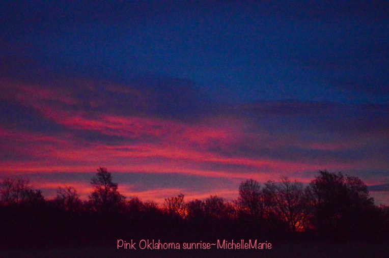 Pinksunrise (1 of 1)