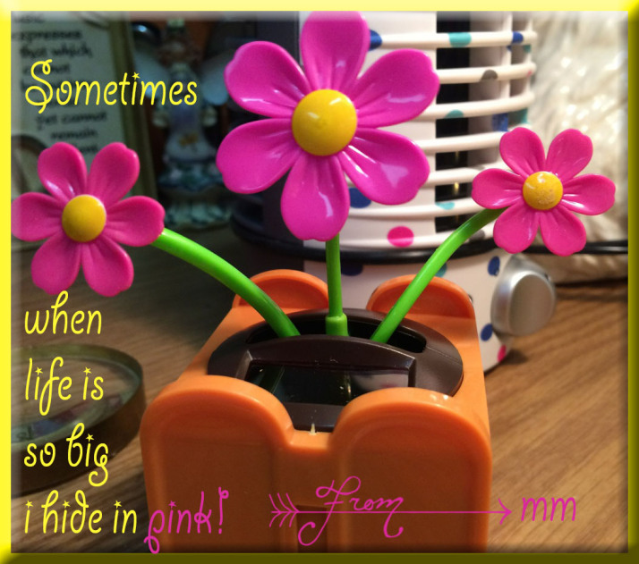 sometimeswhenlifeisbig