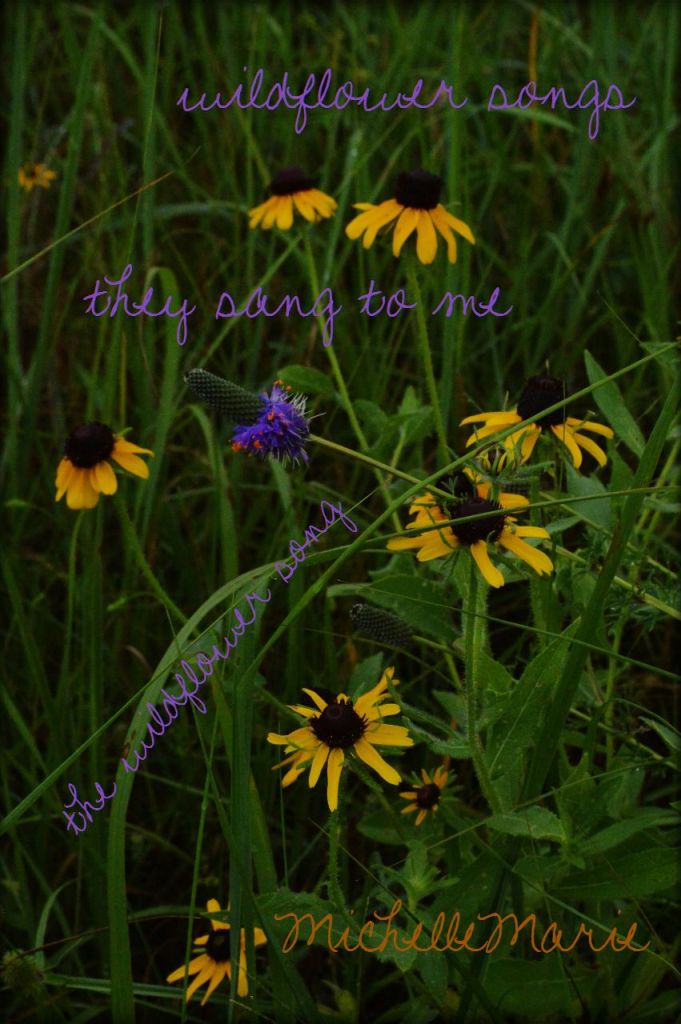 wildflowersongs