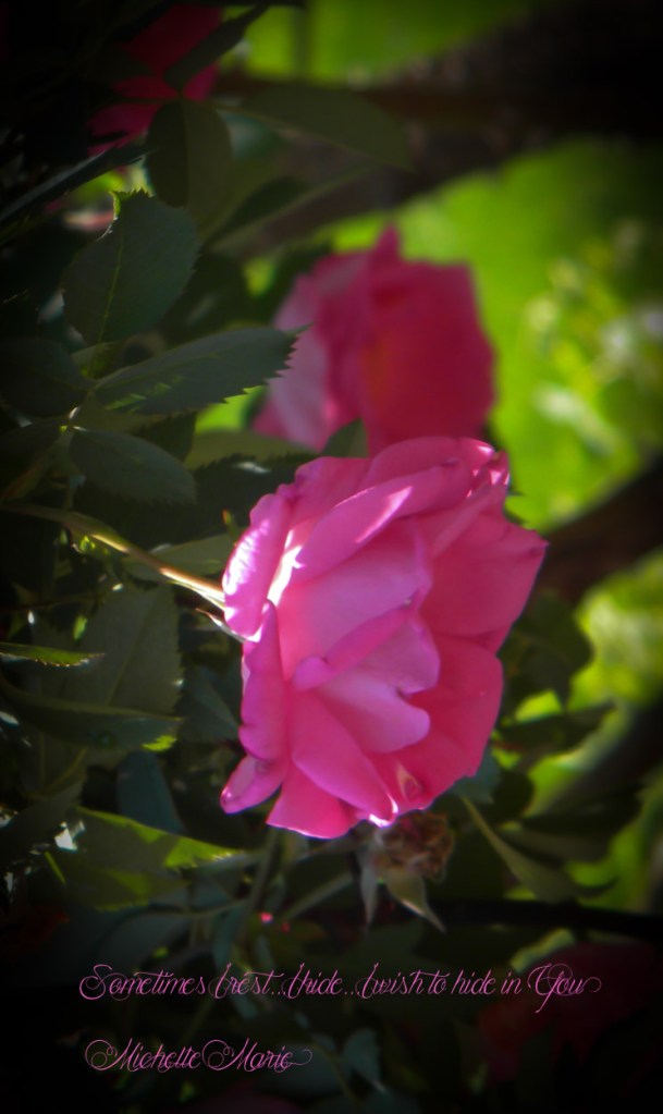 ChicagoBotanicGarden (1 of 1)-3