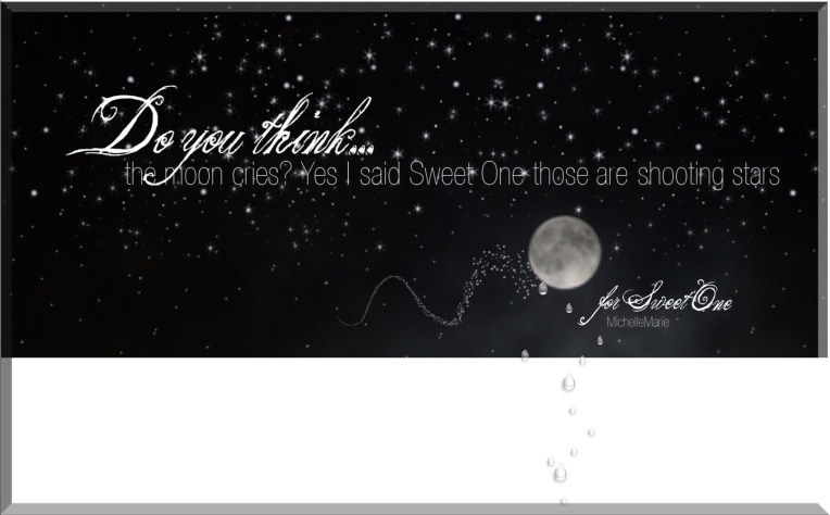 doyouthinkthemooncries