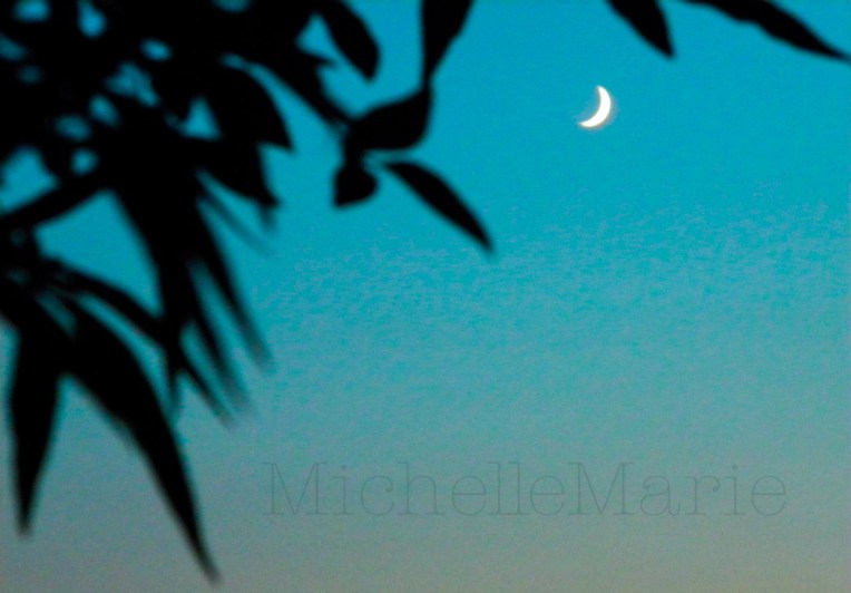 Shootthemoon (1 of 2)