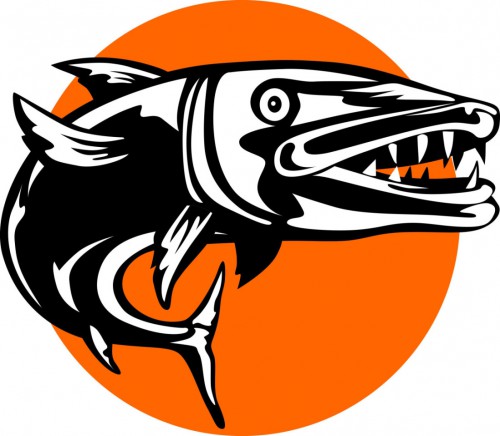 dragon-loyalty-award