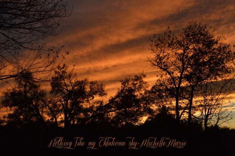 MichelleMarie (1 of 1)-29