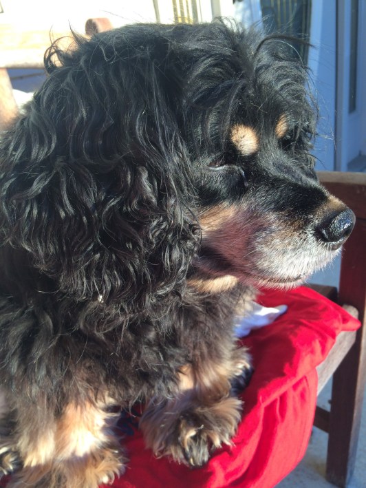 MichelleMarie (1 of 1)-4