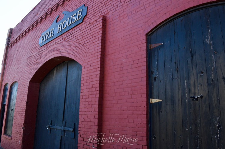 MichelleMarie (1 of 1)-6