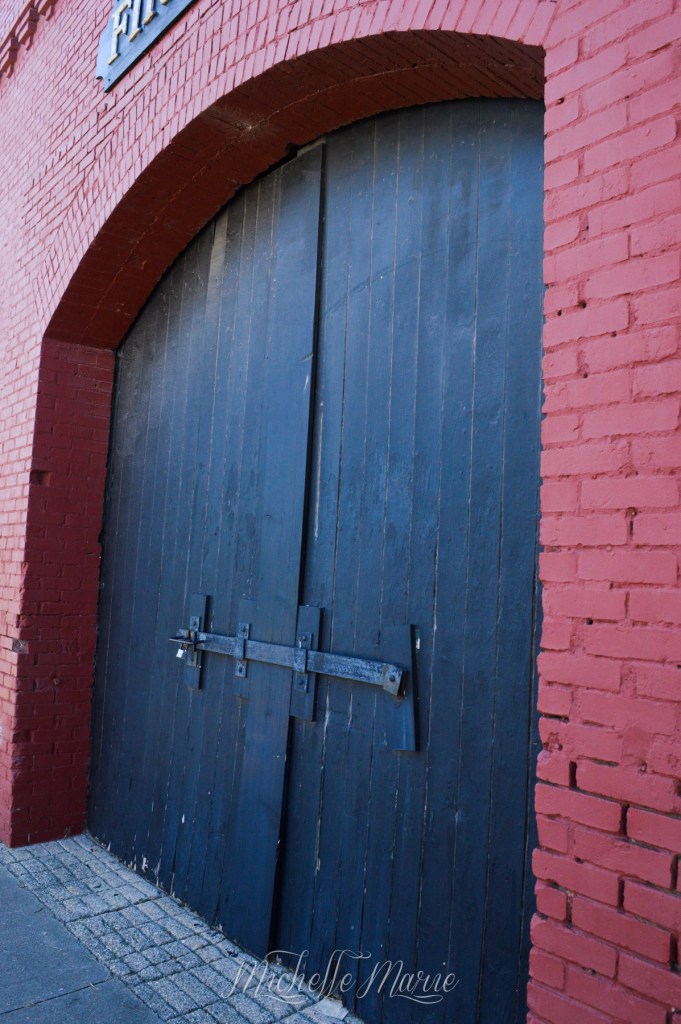 MichelleMarie (1 of 1)-9