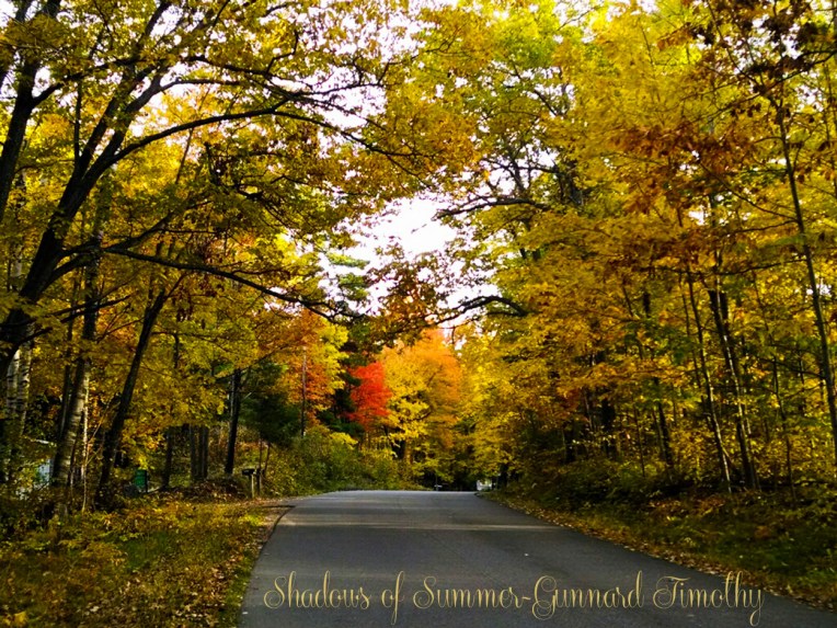 photo by Gunnard Timothy