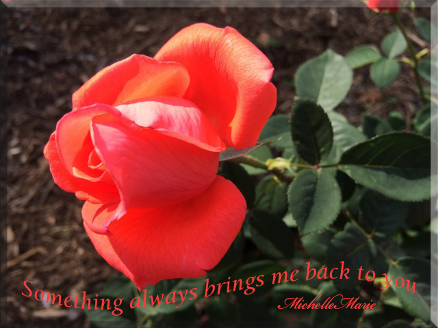 somethingbringmeback