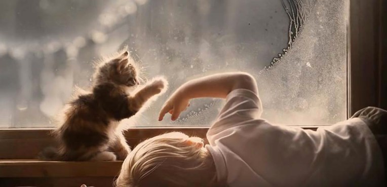 Image from 777loveisall video