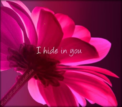 ihideinyou