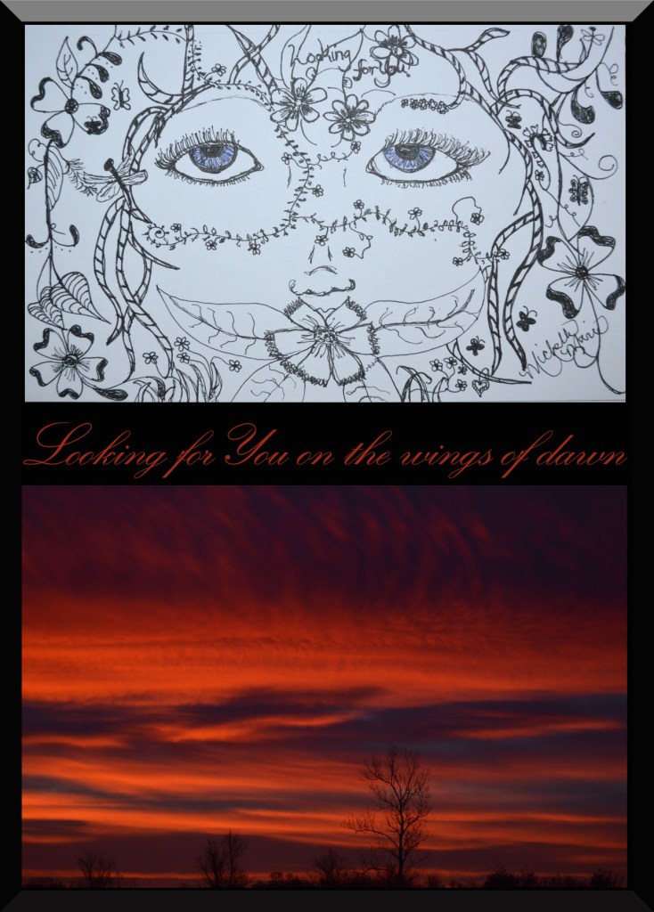 lookingforyouonthewingsodawn