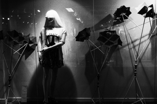 Mindlovemisery's Menagerie Anne Worner Peace