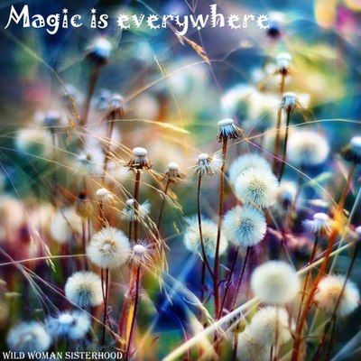 2412da89c7e15552bce3be765c0536ba