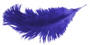 feather