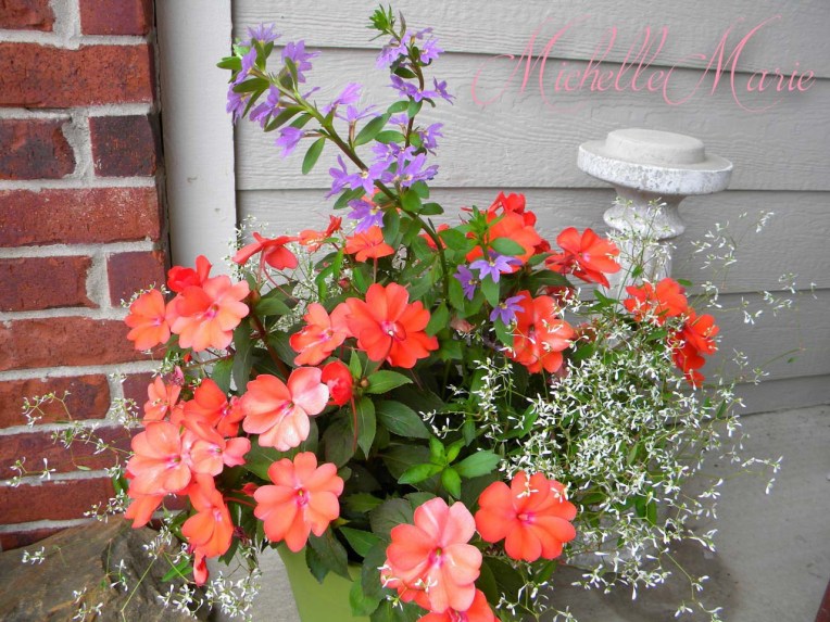 flowerpotgardening (1 of 1)