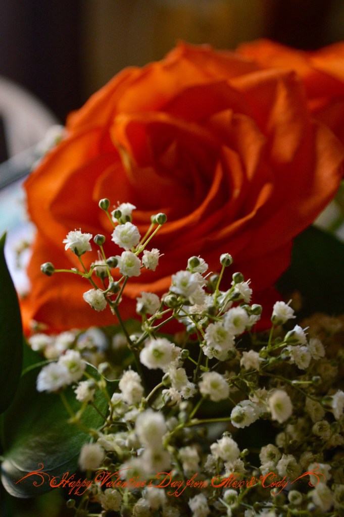 happyvalentinesdaytome