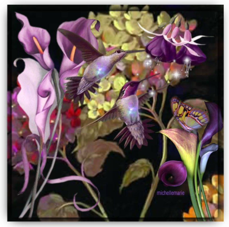 hummbingbirds for Belinda