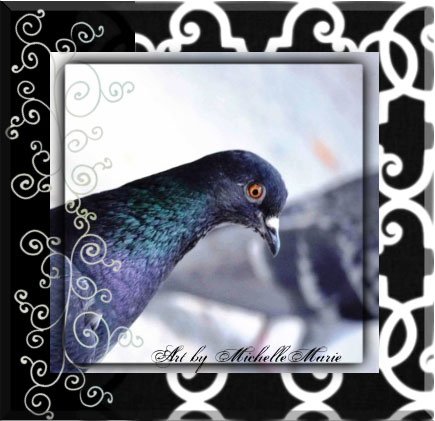 birdmanandthelamebird