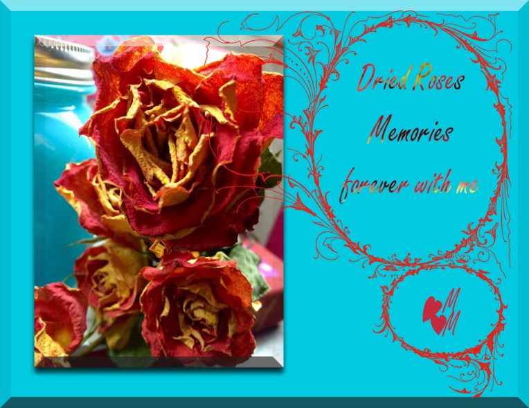 DriedRosesMichelleMarie