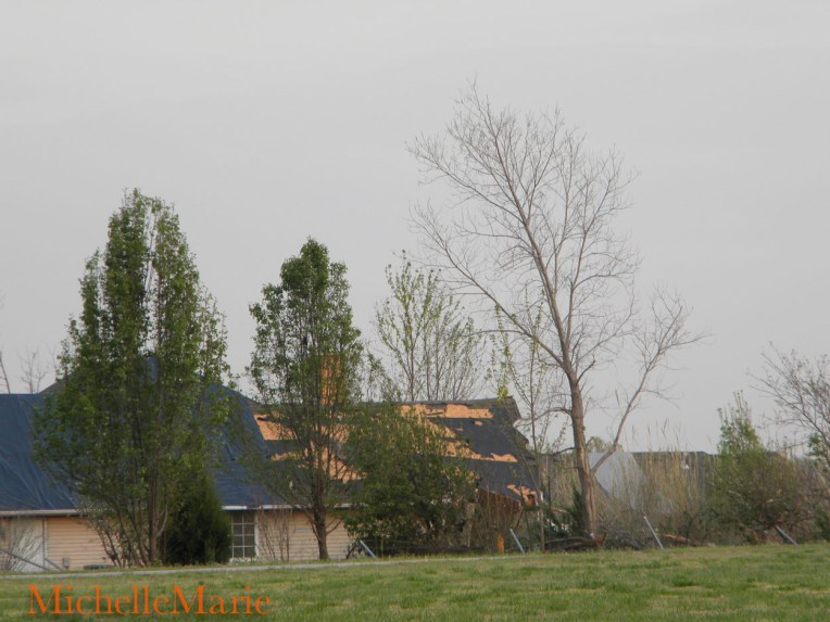 Afterthestorm (1 of 1)-14