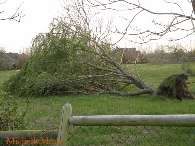 Afterthestorm (1 of 1)-2 copy