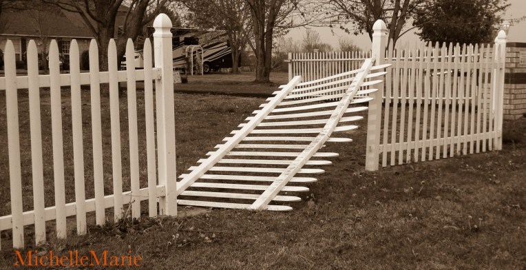 Afterthestorm (1 of 1)-2