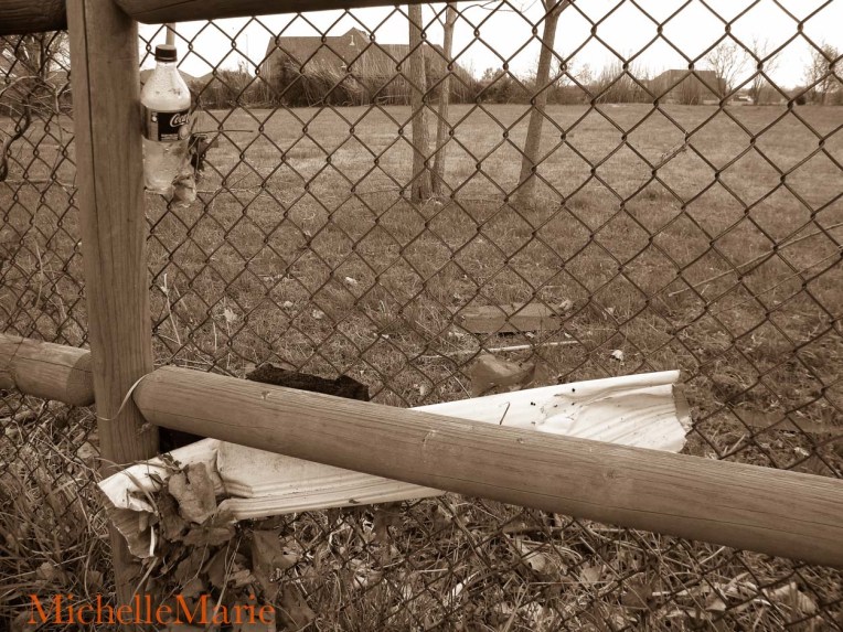 Afterthestorm (1 of 1)-4