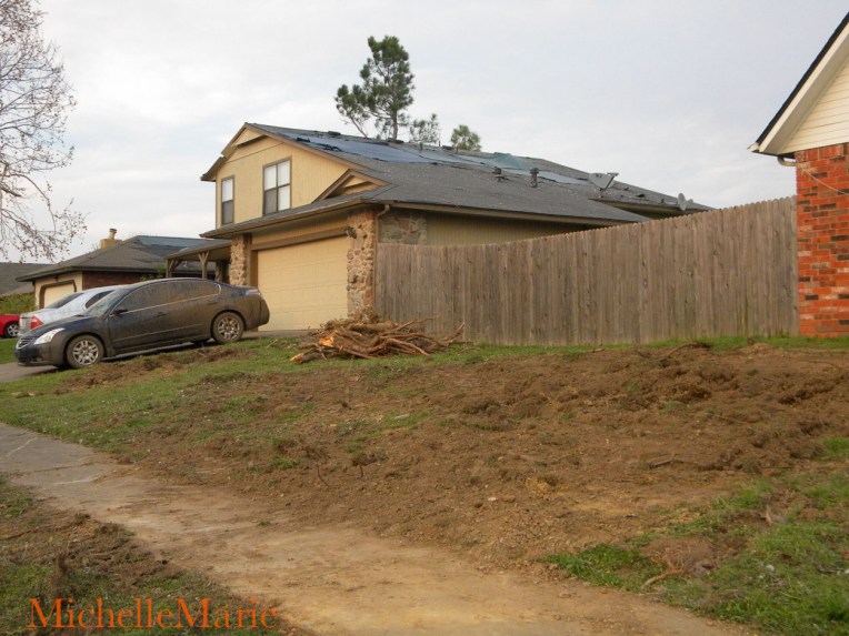 Afterthestorm (1 of 1)-9