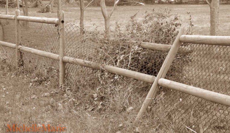 Afterthestorm (1 of 1)