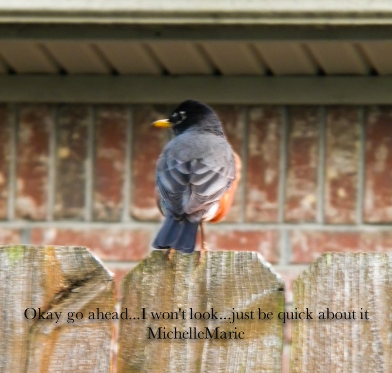 OkaygoaheadIwontlook (1 of 1)