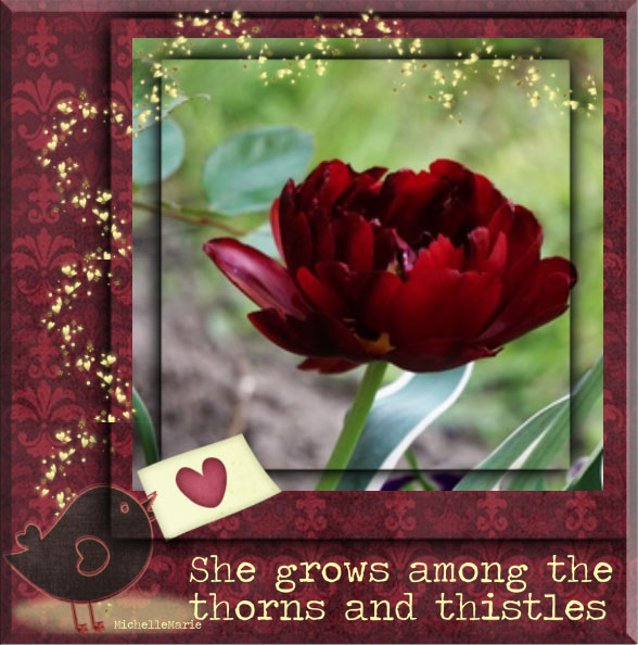 shegrowsamongthethronsandthistles