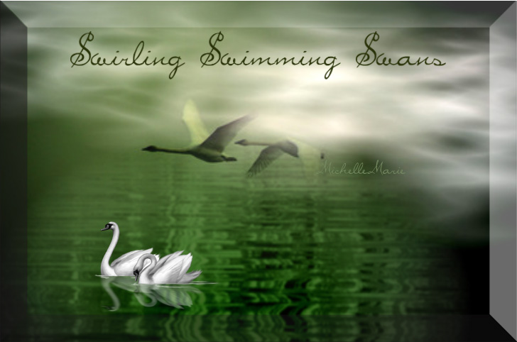 SwirlingSwimmingSwans