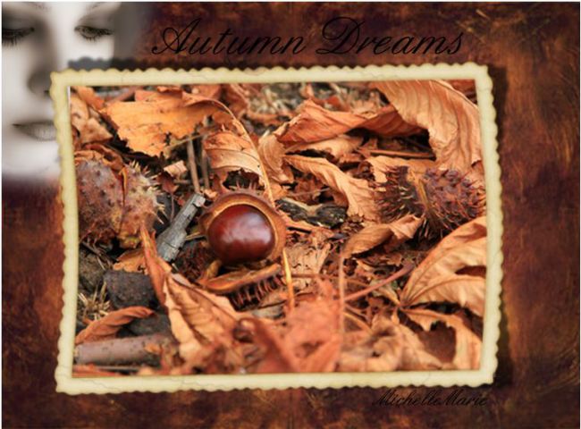 autumndreamsofbrown