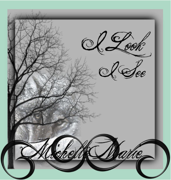 Iooksee©MichelleMarie