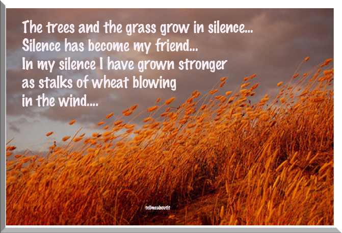 wheatorangesilence-copy