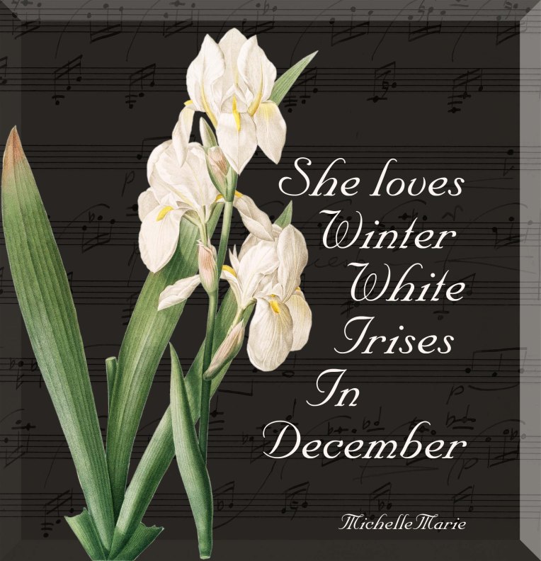 sheloveswinteririses