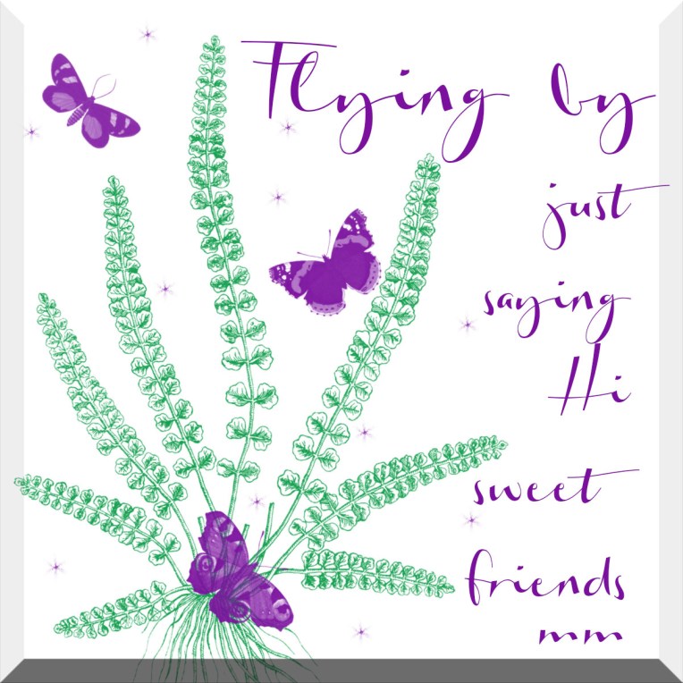 flyingbyjustsayinghi