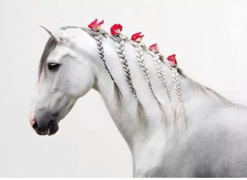 severelymagicalthings.com/manifique-cheval/